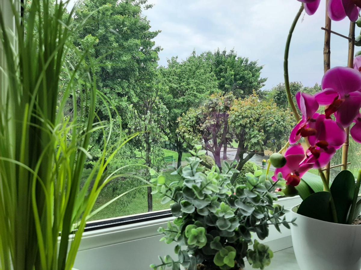 Apartament W Polanicy Appartamento Polanica-Zdrój Esterno foto